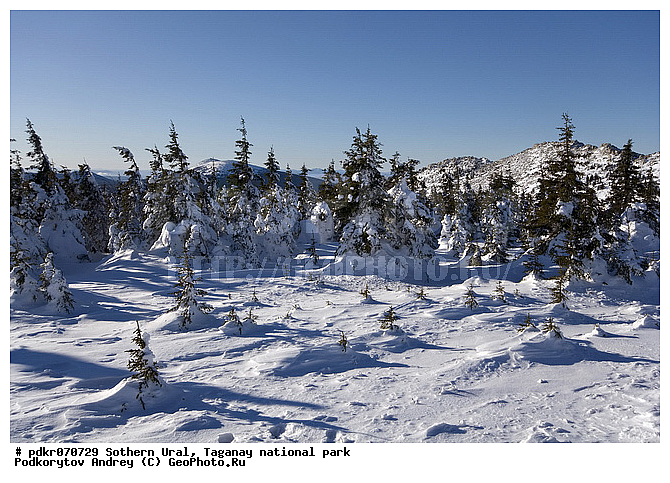 ������������ ����, �������, ����, ����� ����, ������, ����������� ������, �����������, ����������� ���, ����, ������ ������, ����, �������, ��������� ������ ����, �����