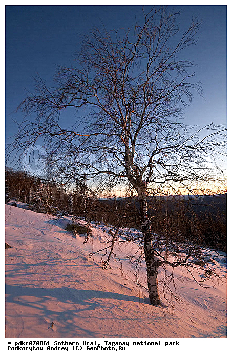 ����, ������������ ����, �������, ����, ����� ����, ������, �����, �������� ����, ������, �����, ��������, �����������, ����, ������ ������, ����, �������, ��������� ����, ������ ����