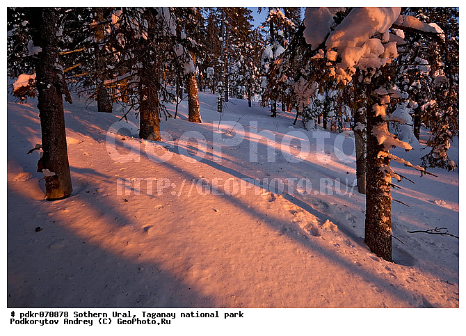 ��������, ������������ ����, �������, ����, ����� ����, ������, ������ � ����, ������, �����������, ����������� ���, ����, ������ ������, ���, �������, ������� � ����, ����������, �������, ����, �������, ��������� ����, �������� ����, ����, ���� � ����, ����������