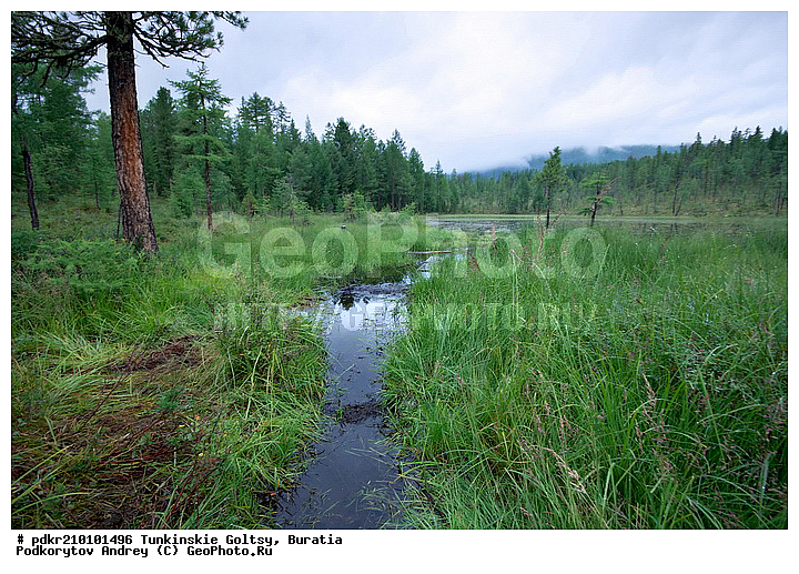 �������, ��������� �����, ��������� ���� �����, ������, ���������� ������, ������, ������, ������, ������ ������, ������������, ���, ������, ������������, �������, ����, �����, ������, �����, ����, �����, ����������