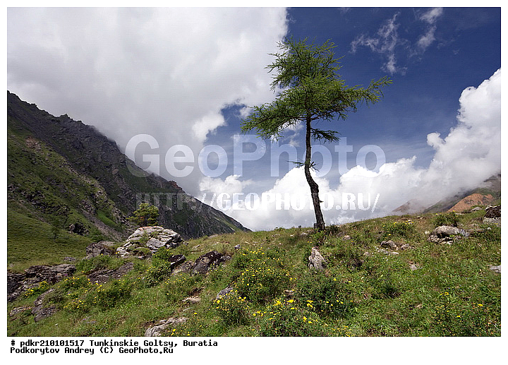 �������, ��������� �����, ��������� ���� �����, ������, ���������� ������, ������� ����, ������, ������ �����, ������ ������, ����, ������, ������, �������, �����������, ������, ��������, ������, ������������, �������, ����, �����, ������, �����, �����, ����������