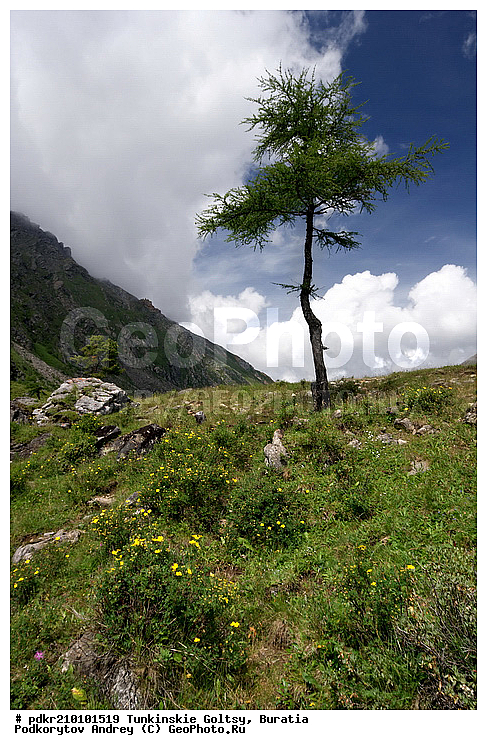 �������, ��������� �����, ��������� ���� �����, ������, ���������� ������, ������� ����, ������, ������ �����, ������ ������, ����, ������, ������, �������, �����������, ������, ��������, ������, ������������, �������, ����, �����, ������, �����, �����, ����������