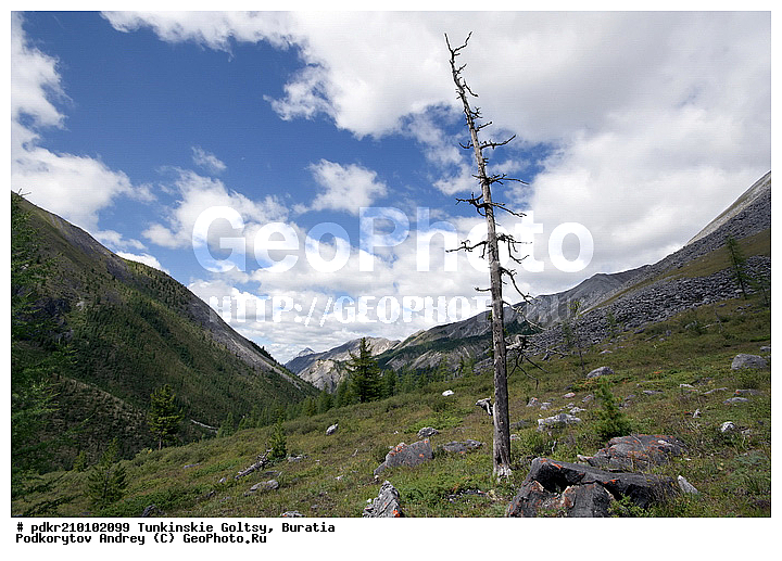 �������, ��������� �����, ��������� ���� �����, ������, ���������� ������, �������, ��������, ������, ������ ������, ������, ������, ������, ������, ������������, �������, ����, �����, ������, �����, �����, ����������