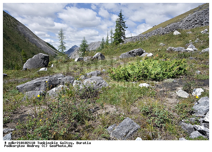 �������, ��������� �����, ��������� ���� �����, ������, ���������� ������, �������, ������, ������ ������, ������, ������, ������, ������, ������������, �������, ����, �����, ������, �����, �����, ����������