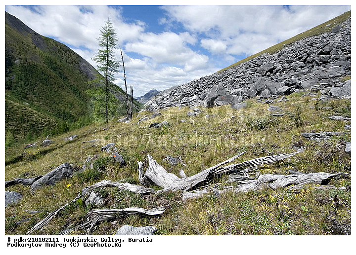 �������, ��������� �����, ��������� ���� �����, ������, ���������� ������, �������, ������, ������ ������, ������, ������, ������, ������, ������������, �������, ����, �����, ������, �����, �����, ����������