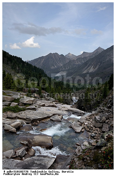 ������, �������, ��������� �����, ��������� ���� �����, ������, ���������� ������, ������, ������ ������, ������, �����, ������, ������������, �������, ����, �����, ����, �����, ������, �����, �������� ������, �����, ����������