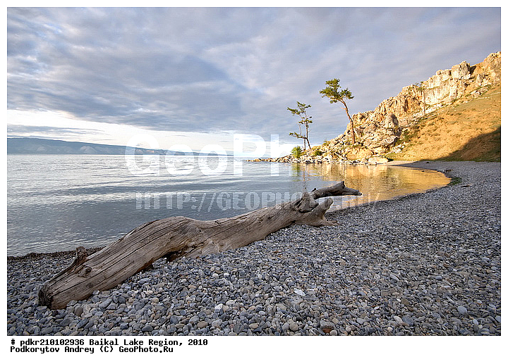 ������, ��������� ������, ��������� �������, ������, �����������, �������� ����, ��������, ������, ������, �����, ������ ������, ������, ������, �����