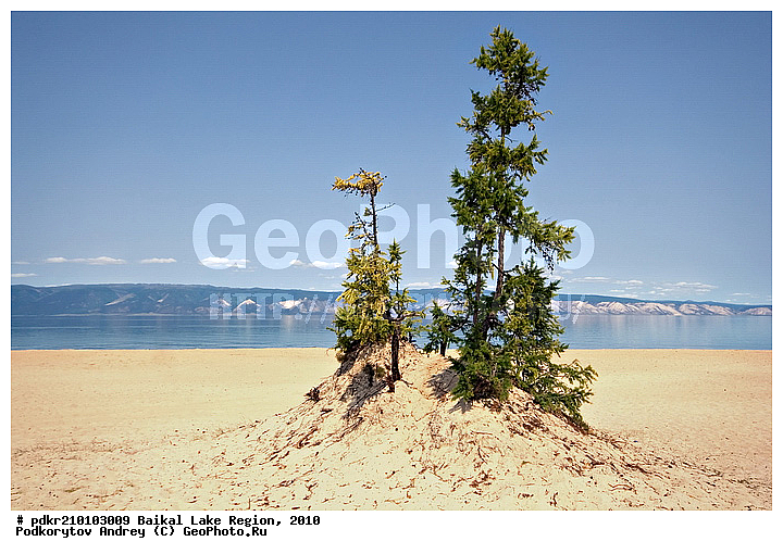 ������, ��������� ������, ��������� �������, ������, �����������, ������, ������, �����, ������, �����������, �����, ������ ������, ������, �����, �������� ����, ������, ���������, ��������� �������