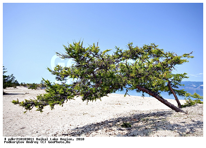 ������, ��������� ������, ��������� �������, ������, �����������, ������, ������, �����, ������, �����������, �����, ������ ������, ������, �����, �������� ����, ������, ���������, ��������� �������