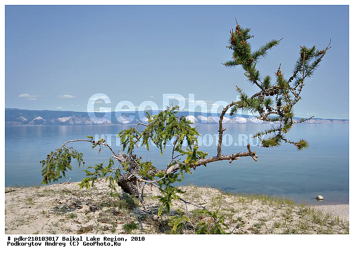 ������, ��������� ������, ��������� �������, ������, �����������, ������, ���, �����������, �����, ������ ������, ������, �����, �������� ����, �����������, �����������, ������