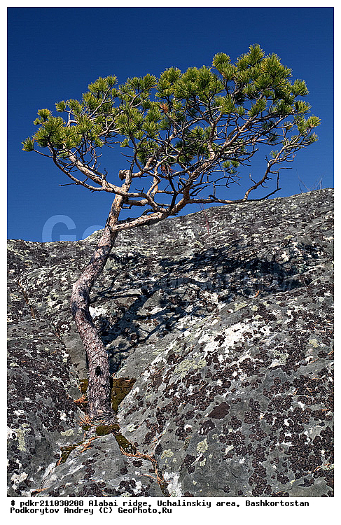 ������, ��������, ������������, ����, ���������� �����, ������ ������, ����� ����, �������� ������, �����, ������, ���, ��������, ������, ���, �������� ������, ������, �����, ��������, �����, ��������� ������