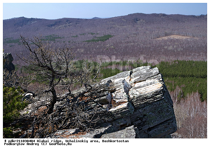 ������, ��������, ������������, ����, ���������� �����, ������ ������, ����� ����, �������� ������, �����, �������� ������, ��������, ������, ���, ���, ������, �����, ��������, �����, �����, ��������� ������