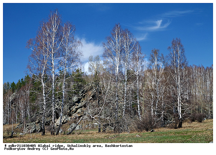 ������, ��������, ������������, ����, ���������� �����, ������ ������, ����� ����, ���������� ������, ������, ��������� ���, �������� ������, �����, ������, �������, ������, ���, ������, ���, ������, �����, �����, �����, ����� ������, ������, ��������� ������