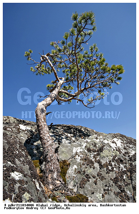 ������, ��������, ������������, ����, ���������� �����, ������ ������, ����� ����, �������� ������, �����, ������, ���, ������, ���, �������� ������, ������, �����, ��������, �����, ��������� ������