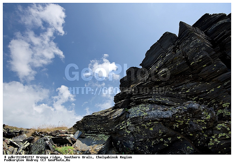 ����, �������, ������, ����������� �������, ����� ����, ���, ������, ������ ������, ����, ��������, ������, �����, ��������, ����, �������, �������, ������, �����, �����, ��������, �������, ����, ��������, ����, �������, �����, ��������, ��������� ����, ���������, ��������� ������, �������, ������� �����, ������ �������