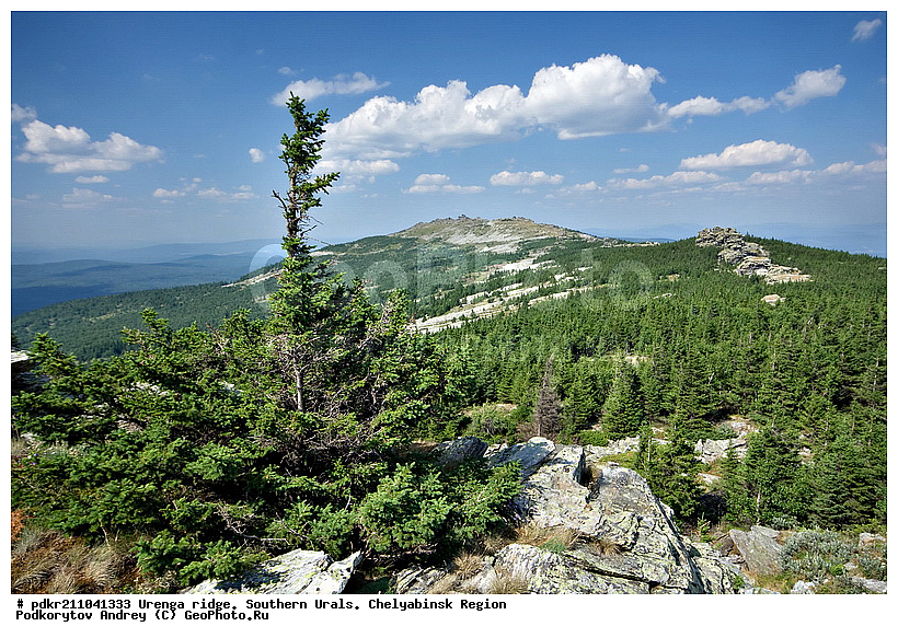 ����, �������, ������, ����������� �������, ����� ����, ���, ������, ������ ������, ����, ������, �������, ���, ��������, ������, �����, ��������, ���, ����, ����, ������, ������, ��������, �����, �����, ��������, �������, �����, ��������� ����, ���������, ��������� ������, �������, ������ �������