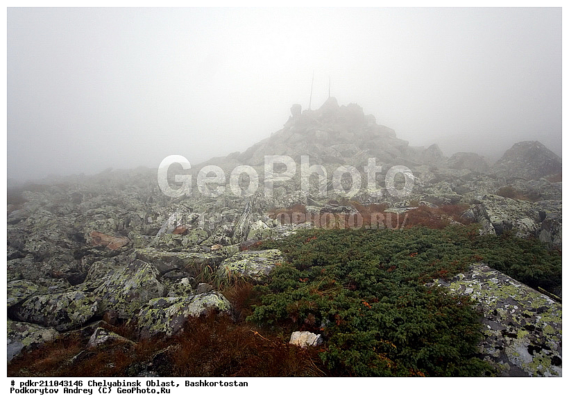 ��������, ������������, ���� ����������, ��������, ����������, ������, ����������� �������, ����� ����, �������, ����, ������, ����, ��������, ������, �����, �����, ��������, ����, ��������, �����, �����, ��������, �����, �����, ���, ������������� ���, ���������� ���, ����, �������� �����