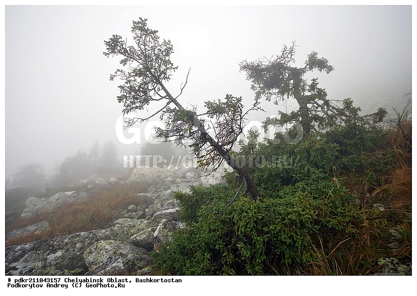 ��������, ������������, ���� ����������, ��������, ����������, ������, ����������� �������, ����� ����, ����, ������, ����, ������, �������, ���, ���, ��������, ������, �����, �����, ��������, ����, ��������, �����, �����, ��������, �����, �����, ����, �������� �����