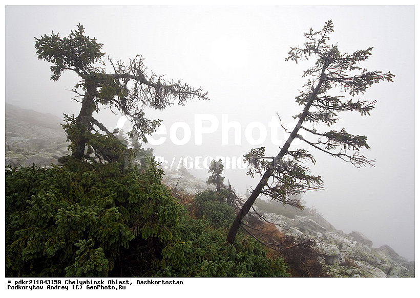 ��������, ������������, ���� ����������, ��������, ����������, ������, ����������� �������, ����� ����, ����, ������, ����, ������, �������, ���, ���, ��������, ������, �����, �����, ��������, ����, ��������, �����, �����, ��������, �����, �����, ����, �������� �����