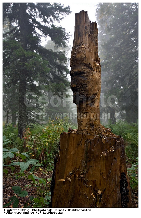 ��������, ������������, ���� ����������, ��������, ����������, ������, ����������� �������, ����� ����, ����������, ������ ������, ����, ����������, ���������� ����, ����, �������, ����, ����, ��������, ������, �������, ����������, ������, �����, ����, ��������� ������