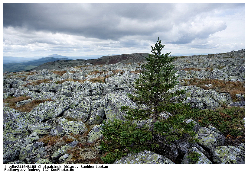 ��������, ������������, ���� ����������, ��������, ����������, ������, ����������� �������, ����� ����, ����, ������, ������ ������, ����, ��������, ������, �����, �����, ��������, ����, ����, ������, ��������, ������, �����, �����, ��������, �����, ����, ��������� ������