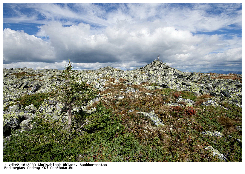 ��������, ������������, ���� ����������, ��������, ����������, ������, ����������� �������, ����� ����, ����, ������, ������ ������, ����, ���, ���, ��������, ������, �����, �����, ��������, ����, ����, ������, ��������, ������, �����, �����, ��������, �����, ����, ��������� ������