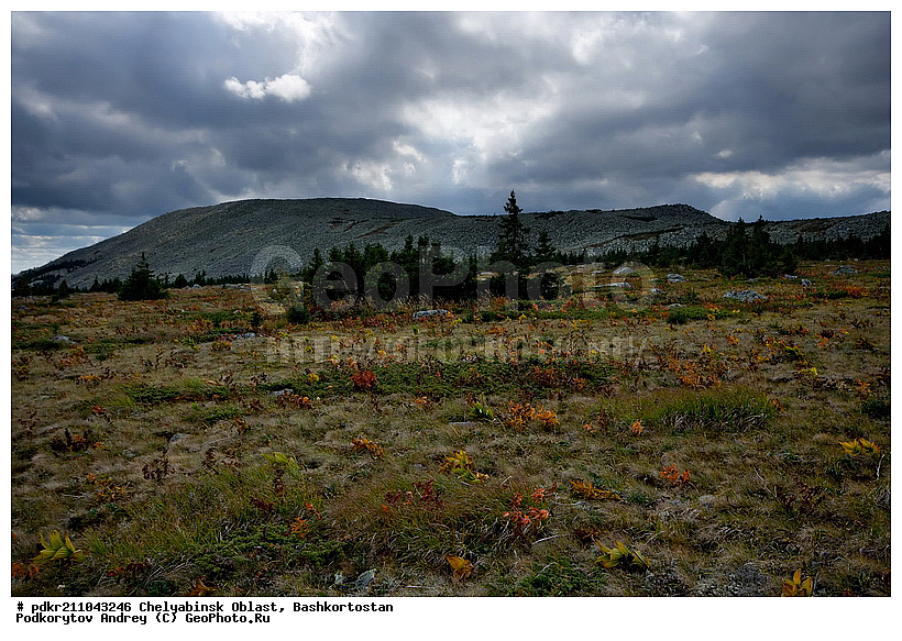 ��������, ������������, ���� ����������, ��������, ����������, ������, ����������� �������, ����� ����, ����, ������, ������ ������, ����, ��������, ������, �����, �����, ��������, ����, ����, ������, ��������, ������, �����, �����, ��������, �����, ����, ��������� ������