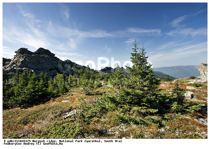 ���������, ������, ����, ����������� �������, ����� ����, ����, ������ ������, ������, ������ ������, ����, �����, ������, ���, ���, �������, �����, �����, ��������, ����, ������������ ����, ������������ ���� ���������, ������, ��������, �������� �����, �����, �������, ������