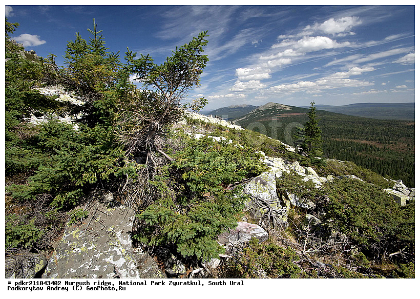 ���������, ������, ����, ����������� �������, ����� ����, ����, ������ ������, ������, ������ ������, ������ �����, ����, ������, ���, ���, �������, �����, �����, ��������, ����, ������������ ����, ������������ ���� ���������, ������, ��������, �����, �����, �������, ������