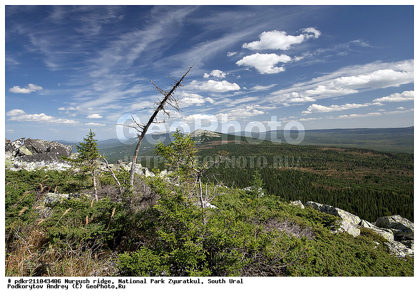 ���������, ������, ����, ����������� �������, ����� ����, ��������, �������� ������, ����, ������ ������, ������, ������ ������, ������ �����, ����, ������, ���, ���, �������, �����, �����, ��������, ����, ������������ ����, ������������ ���� ���������, ������, ������, ��������, �����, �����, ����� ������, �����, �������, ������