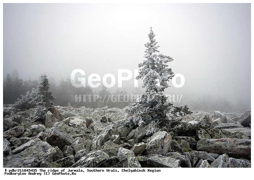 ����, ������ ����, ����������� ������� ����, ����� ����, ����, ������, ������ ������, ����, ������, ���, ����������� ���, ����������� ������, ����, ��������, ������, �����, ������, ������, ������ ����, �����, �����, ��������, �����, �����, ��������� ����, ������