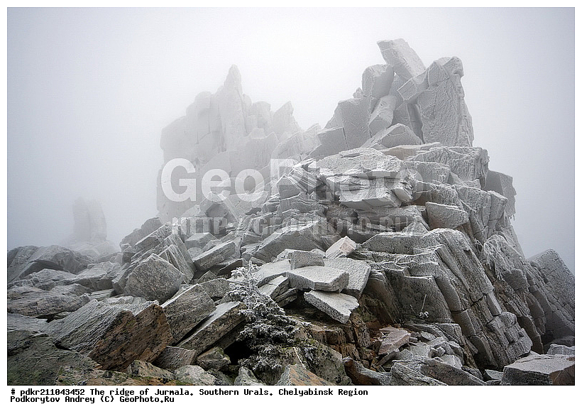 ����, ������ ����, ����������� ������� ����, ����� ����, ����, ������, ������, ������ ������, ����, ����, ��������, ������, �����, ������, ������, ������ ����, �����, �����, ��������, �����, �����, ��������� ����, ������, �������, ������� ������