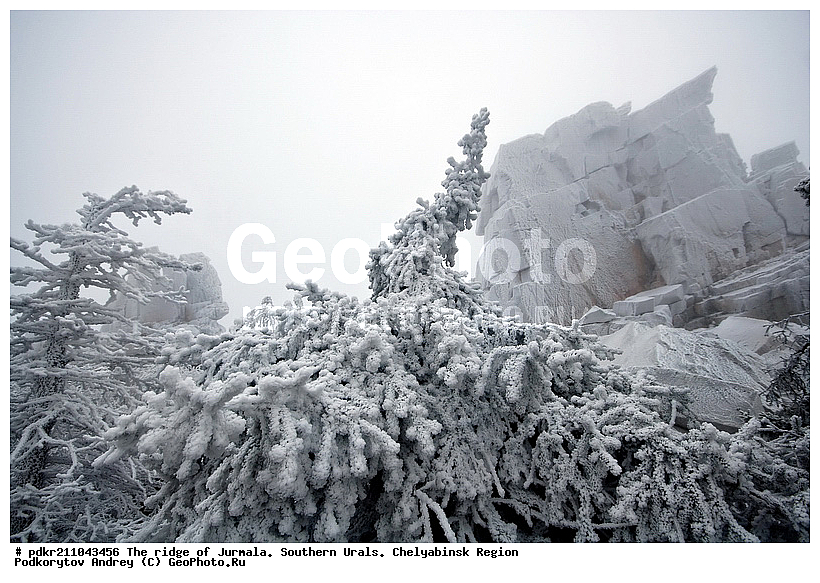 ����, ������ ����, ����������� ������� ����, ����� ����, ����, ������, ������, ������ ������, ����, ������, ���, ����������� ���, ����������� ������, ����, ��������, ������, �����, ������, ������, ������ ����, �����, �����, ��������, �����, �����, ��������� ����, ������, �������, ������� ������