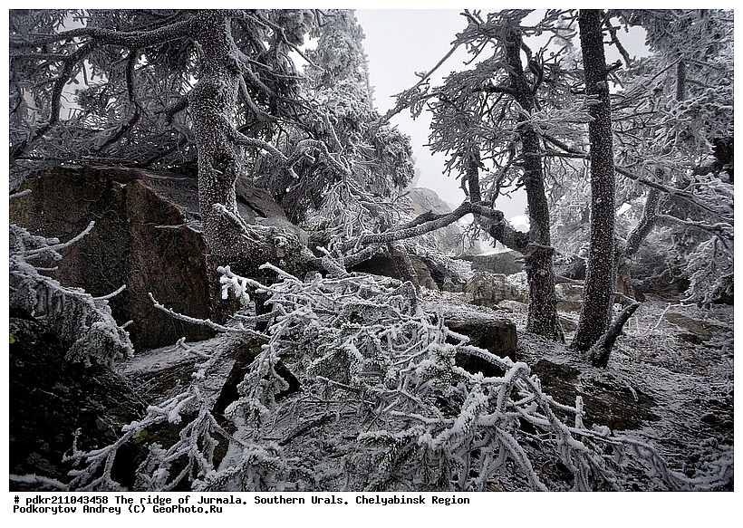 ����, ������ ����, ����������� ������� ����, ����� ����, ����, �����������, ����������, �����, �����, �����, �����, �������, �������, ������, ������ ������, ����, ������, ���, ����������� ���, ����������� ������, ����, ��������, ������, �����, ������, ������, ������ ����, ������������ ��������, ������������ �������, �����, �����, ��������, �����, ��������, �����, ��������� ����, �������, ������