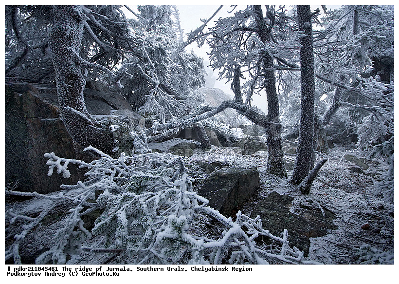 ����, ������ ����, ����������� ������� ����, ����� ����, ����, �����������, ����������, �����, �����, �����, �����, �������, �������, ������, ������ ������, ����, ������, ���, ����������� ���, ����������� ������, ����, ��������, ������, �����, ������, ������, ������ ����, ������������ ��������, ������������ �������, �����, �����, ��������, �����, ��������, �����, ��������� ����, �������, ������