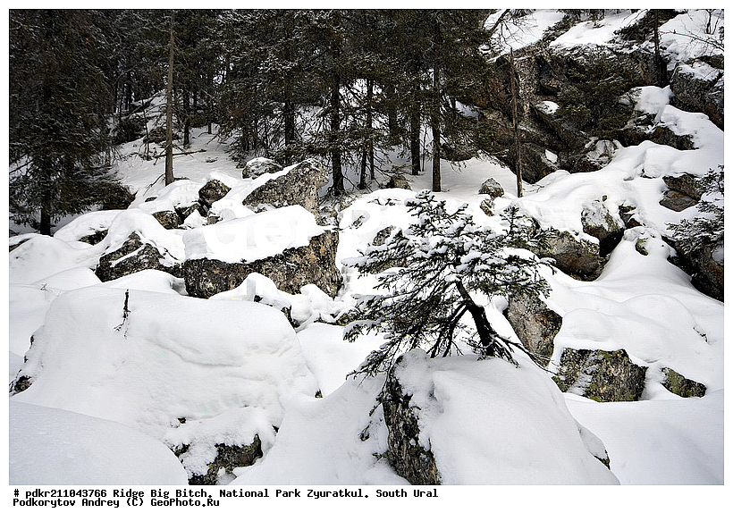 ������� ����, ���������, ������������ ����, ������, ����� ����, ������, �������, ���, ���, ����������, ����������� �������, �����������, ����, ������, ������ ������, �������� ����, ������, �����, �����, ��������, ������������ ���� ���������, ������, ����, ������, �������, �����, ����