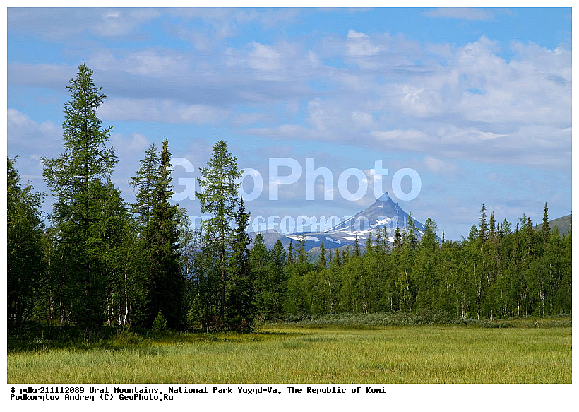 ����, ������������ ����, ����������� ����, ���������� ����, ����, ����-��, ���� ��, ����, ����, ��������, ������, ���, ��� ����, �����������, �����, �������� ������, ����, ��������� ������