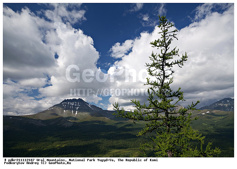 ����, ������������ ����, ����������� ����, ���������� ����, ����-��, ���� ��, ����, ������, ���, ����, �����������, ��������, ������, ������, �����������, �����, �������� ������, �����, ����, ��������� ������, ������