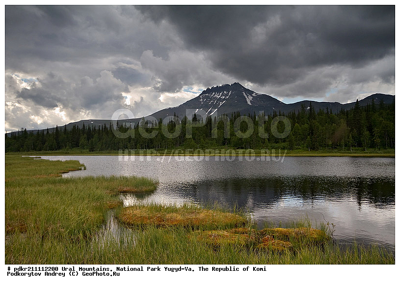 ����, ������������ ����, ����������� ����, ���������� ����, ����-��, ���� ��, ������, �������, ����, �����, ���� ��������, ���, ������ �����, ����, ��������, �����, ���������, ������, �����������, �����, �������� ������, �����, ����, ��������� ������