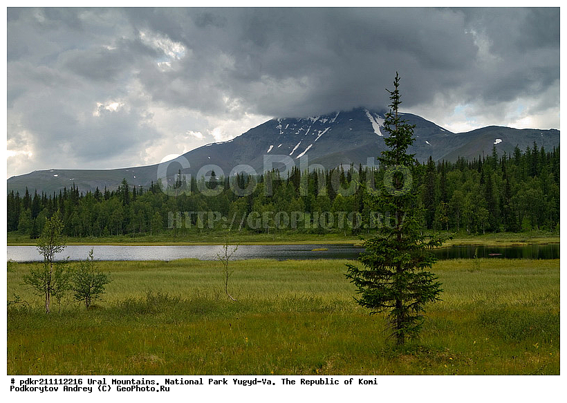 ����, ������������ ����, ����������� ����, ���������� ����, ����-��, ���� ��, ������, �������, ���� ��������, ���, ������ �����, ����, ��������, ������, ����������, �����, �������, ������, �����������, �����, �������� ������, �����, ����, ��������� ������