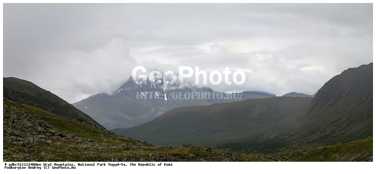 ����, ������������ ����, ����������� ����, ���������� ����, ����-��, ���� ��, ������, ������, ����, ���������, ��������, ��������, ������, �����������, ����, �����, �������� ������, ����, ��������� ������