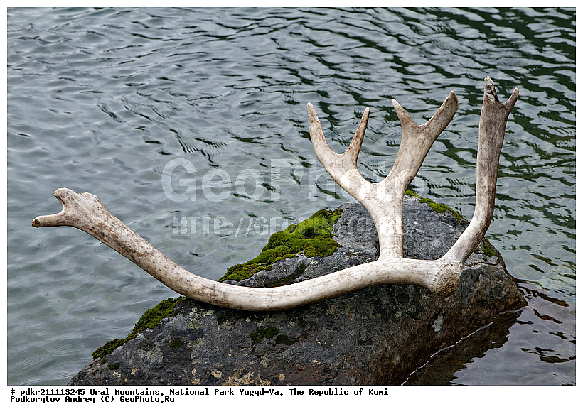 ����, ������������ ����, ����������� ����, ���������� ����, ����-��, ���� ��, ����, ������, ����, �����, ������ ���, �����, ������ ����, ������, �����������, ���, ����, ���� �����, ��� �����, �����, �������� �����, �������� ������, ����, ��������� ������