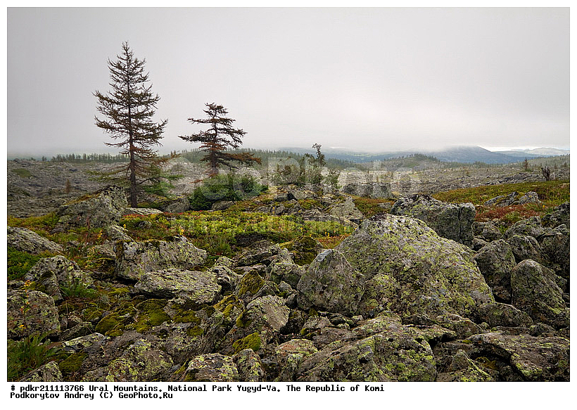 ����, ������������ ����, ����������� ����, ���������� ����, ����-��, ���� ��, ������, �����, ����, ����������, �����������, ������ ����������, ����������, ������, �����������, ����������, ���������� ������, �����, �����, �������� ������, �����, �������� ������, ����, ��������� ������