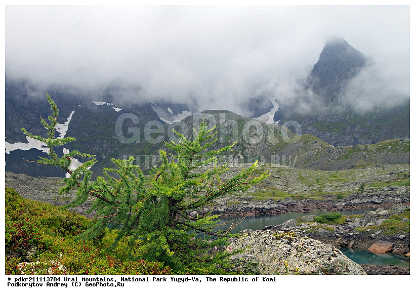 ������, �������, ����, ������������ ����, ����������� ����, ���������� ����, ����-��, ���� ��, ������, �����, ������ �������, ����, ����������, �����������, ����������, ������, �����������, ����������, ���������� ������, �����, �����, �������� ������, �����, �������� ������, ����, ��������� ������