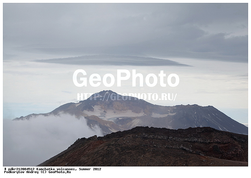 ������� ��������, ��������, �������, ����, ������, ���������� , ������, ������� ������, ������, ����������, ��������, ���������� ������, ���������� �����,�������, ������� �����, ������ �������