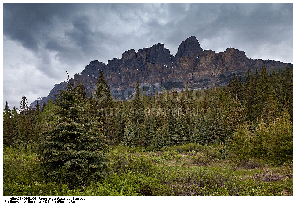 ��������� ����, ������, �������, ������������ ����, ���������, ���������, ����, ����, ��������, ��������� ��������, ������������ ���� ����, �����, ����, �����, �����