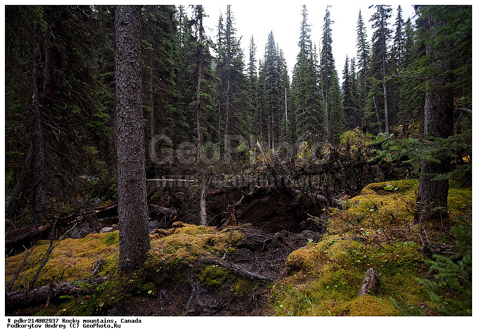 ��������� ����, ������, �������, ������������ ����, ���������, ���������, �����, ��������, ��������, ��������� ��������, , ������������ ���� ����, �����, ����
