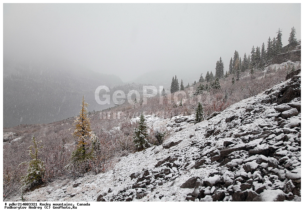 ��������� ����, ������, �������, ������������ ����, ���������, ���������, �����, ��������, ���������� ��������, ��������� ���������� ��������,, �������������� ���� ����� ����������, ����� ����������, ����� ��, ��