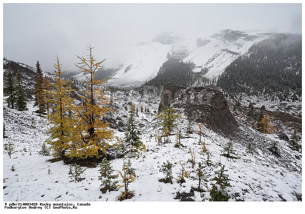 ��������� ����, ������, �������, ������������ ����, ���������, ���������, �����, ��������, ���������� ��������, ��������� ���������� ��������,