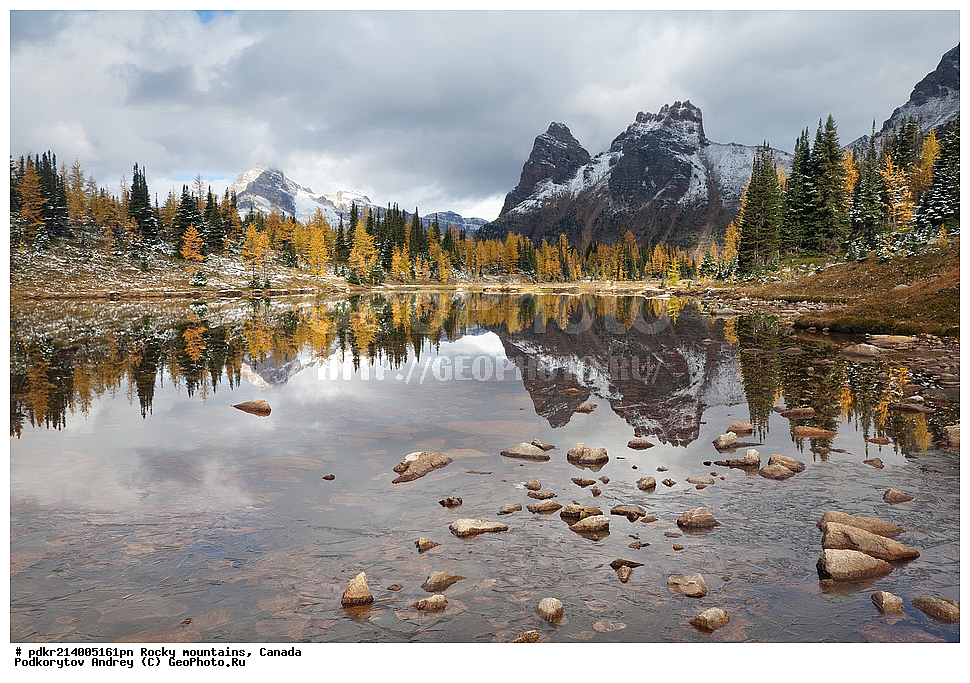 ��������� ����, ������, �������, ������������ ����, ���������, ���������, �����, ��������, ���������� ��������, ��������� ���������� ��������,, ������������ ���� ����, ����, ����� �������